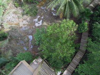 Jejawi Tower, Pulau Ubin