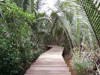 Chek Jawa, Pulau Ubin