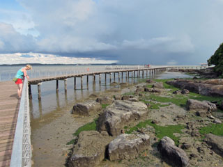 Chek Jawa, Pulau Ubin