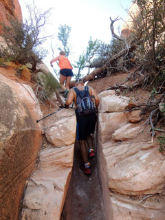 Elephant Hill trail, kohati kisub rada kitsaks …