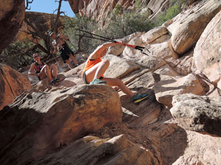 Elephant Canyon, laskumas