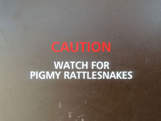 sõbralik hoiatus tualeti uksel ...