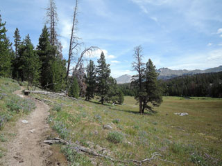 matkapäev, Big Sandy trail