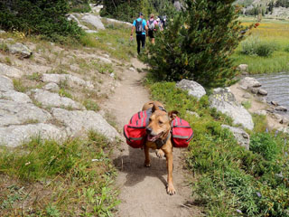 igaüks peab oma koormat (loe toitu) ise kandma ...