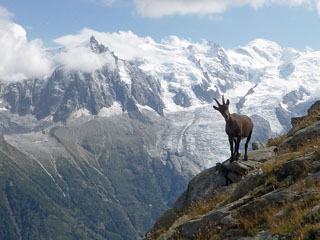 2 358 m, mõned olid tulnud uudistama ... [-49:55:18]