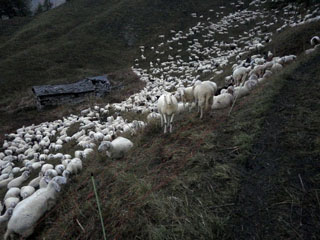 1 982 m, tere varahommikust ... [60:51:08]