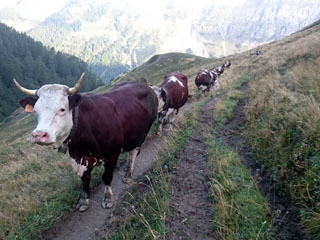 2 053 m, kenasti parempoolne liiklus … [62:40:00]