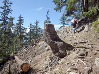 1 746 m, Gouille Verte, kilplased metsa raiumas ... [93:38:45]