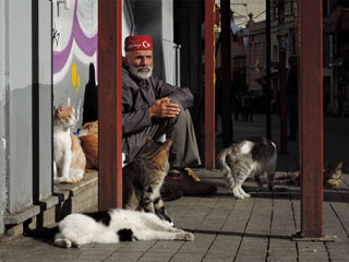 hommikune idüll …