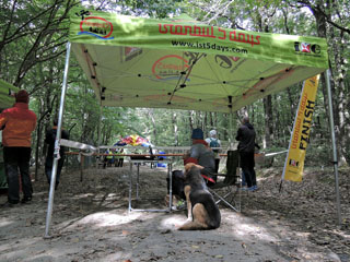 Istanbul 5 Days Competition … finišikohtunikud