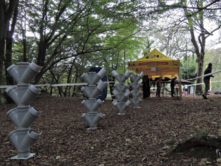 Istanbul 5 Days Competition ... start