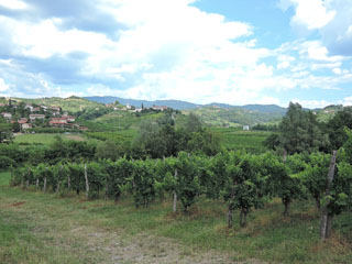 Sloveenia veine avastamas …