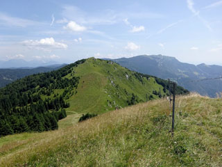 Soriška planina, vaade tipust …