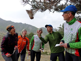 ettevaatust … hammustab