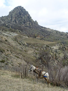 pealtvaatajad raja ääres