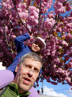 Anni tahtis lilli noppida