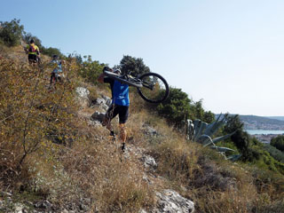 tavaline rattarada Horvaatias