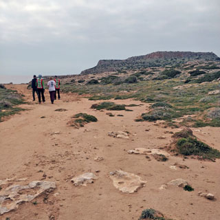 järjekordset aaret jahtima …