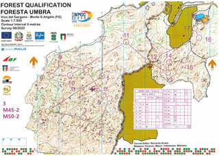 Foresta Umbra, Forest Qualification