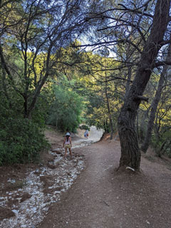 uusi randu avastama …